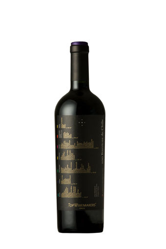 Picture of 100 BARRICAS DE CHILE CABERNET SAUVIGNON